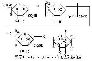 丁香实验推荐阅读