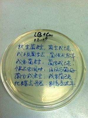 丁香实验推荐阅读