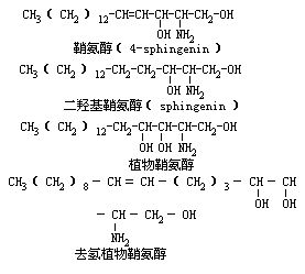 丁香实验推荐阅读