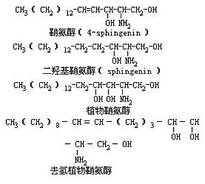 丁香实验推荐阅读