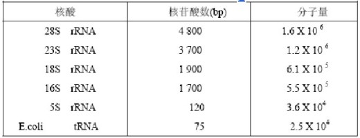 丁香实验推荐阅读