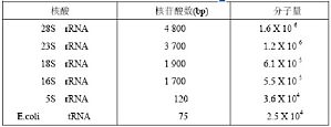 丁香实验推荐阅读