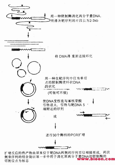 丁香实验推荐阅读