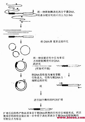 丁香实验推荐阅读