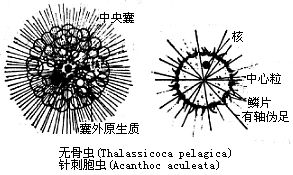 丁香实验推荐阅读