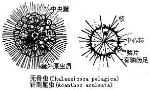 丁香实验推荐阅读