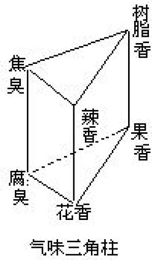 丁香实验推荐阅读