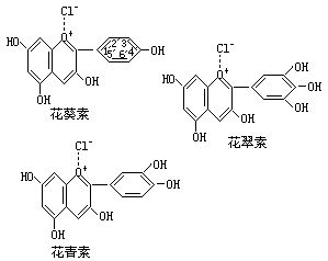 丁香实验推荐阅读