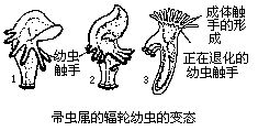 丁香实验推荐阅读