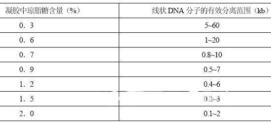 丁香实验推荐阅读