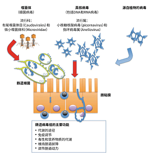 丁香实验推荐阅读