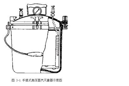 丁香实验推荐阅读