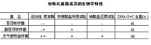 丁香实验推荐阅读