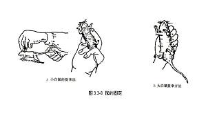丁香实验推荐阅读