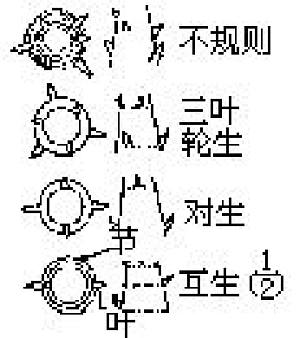 丁香实验推荐阅读