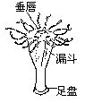 丁香实验推荐阅读