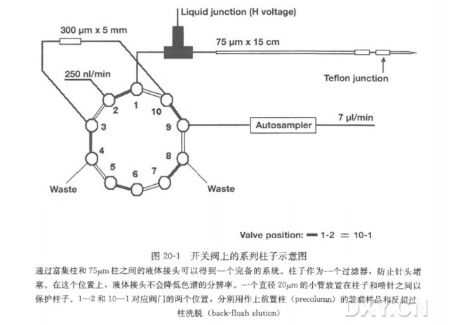 丁香实验推荐阅读