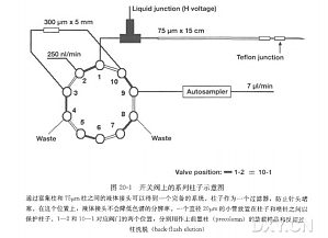 丁香实验推荐阅读