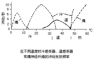 丁香实验推荐阅读