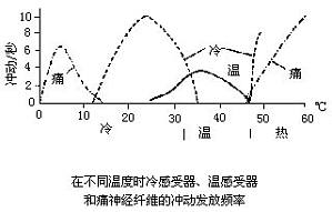 丁香实验推荐阅读