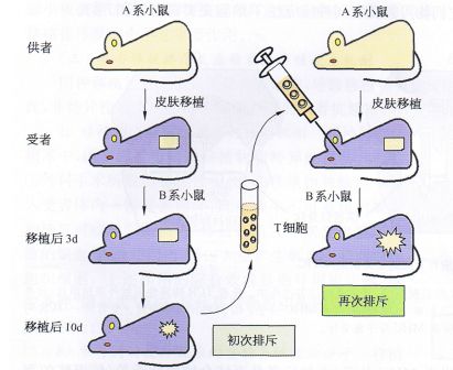 丁香实验推荐阅读