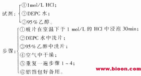 丁香实验推荐阅读
