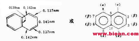 丁香实验推荐阅读