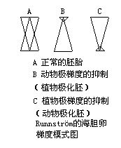 丁香实验推荐阅读