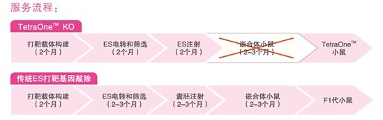 丁香实验推荐阅读