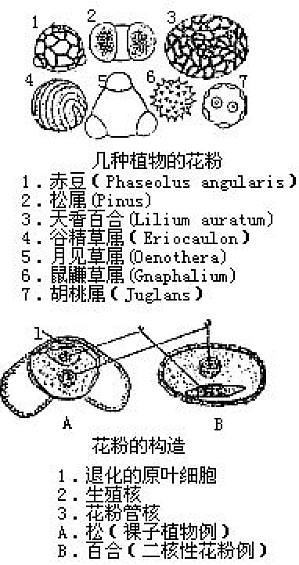 丁香实验推荐阅读