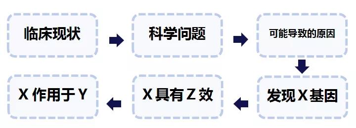 丁香实验推荐阅读