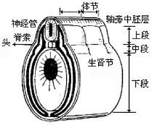 丁香实验推荐阅读
