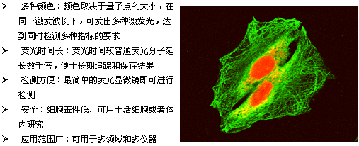 丁香实验推荐阅读