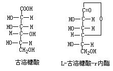 丁香实验推荐阅读