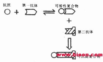 丁香实验推荐阅读