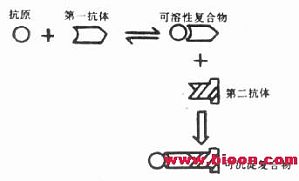 丁香实验推荐阅读