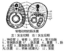 丁香实验推荐阅读