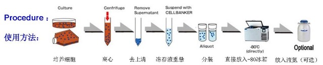 丁香实验推荐阅读