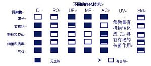 丁香实验推荐阅读