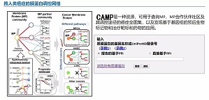 丁香实验推荐阅读