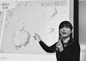丁香实验推荐阅读