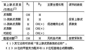 丁香实验推荐阅读