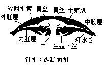 丁香实验推荐阅读