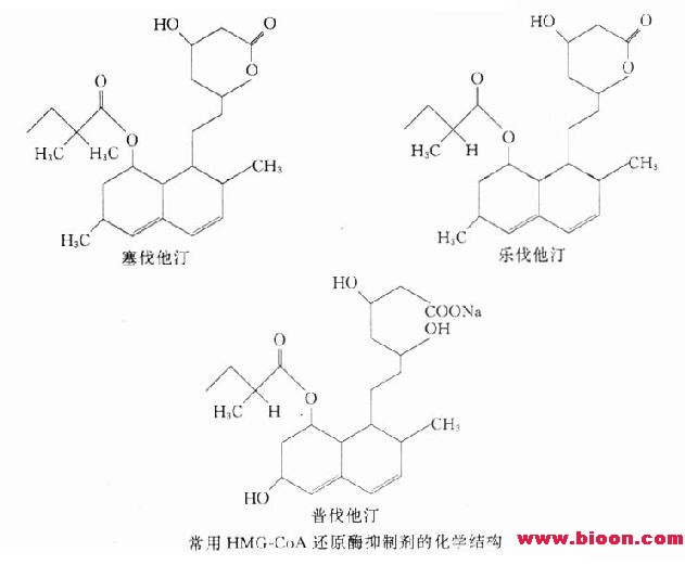 丁香实验推荐阅读