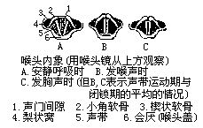 丁香实验推荐阅读