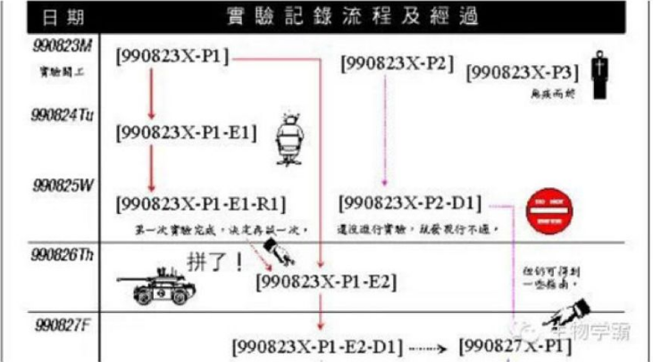 丁香实验推荐阅读