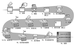 丁香实验推荐阅读