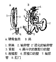 丁香实验推荐阅读