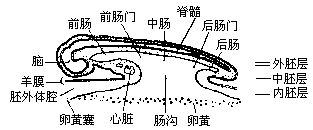 丁香实验推荐阅读