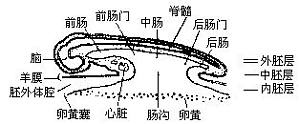 丁香实验推荐阅读